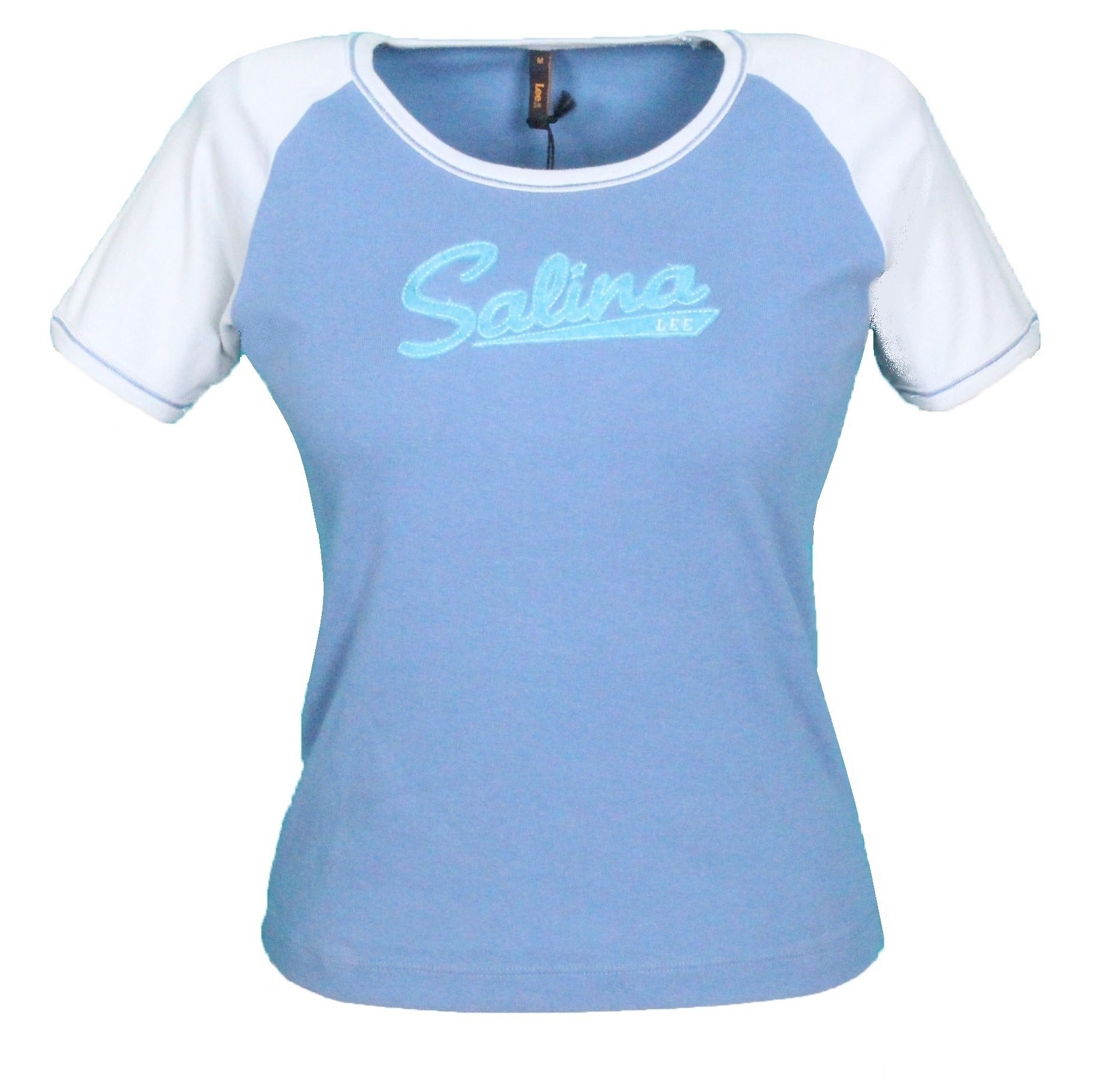 Lee salina