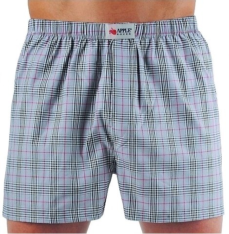 Apple boxer regular plaid