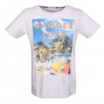 Funky Buddha VWminibuses