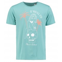 O'Neill pleasure island