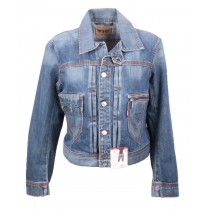 Levis bobby anne