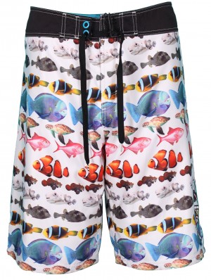 O'Neill sealife boardshorts