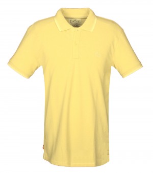 Levis polo