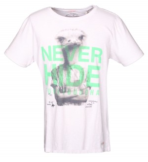 Funky Buddha never hide