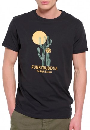 Funky Buddha Cactus