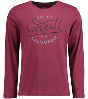 O'Neill oceanside