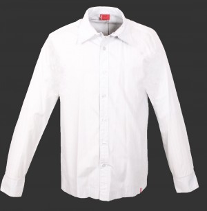 Levis stripe
